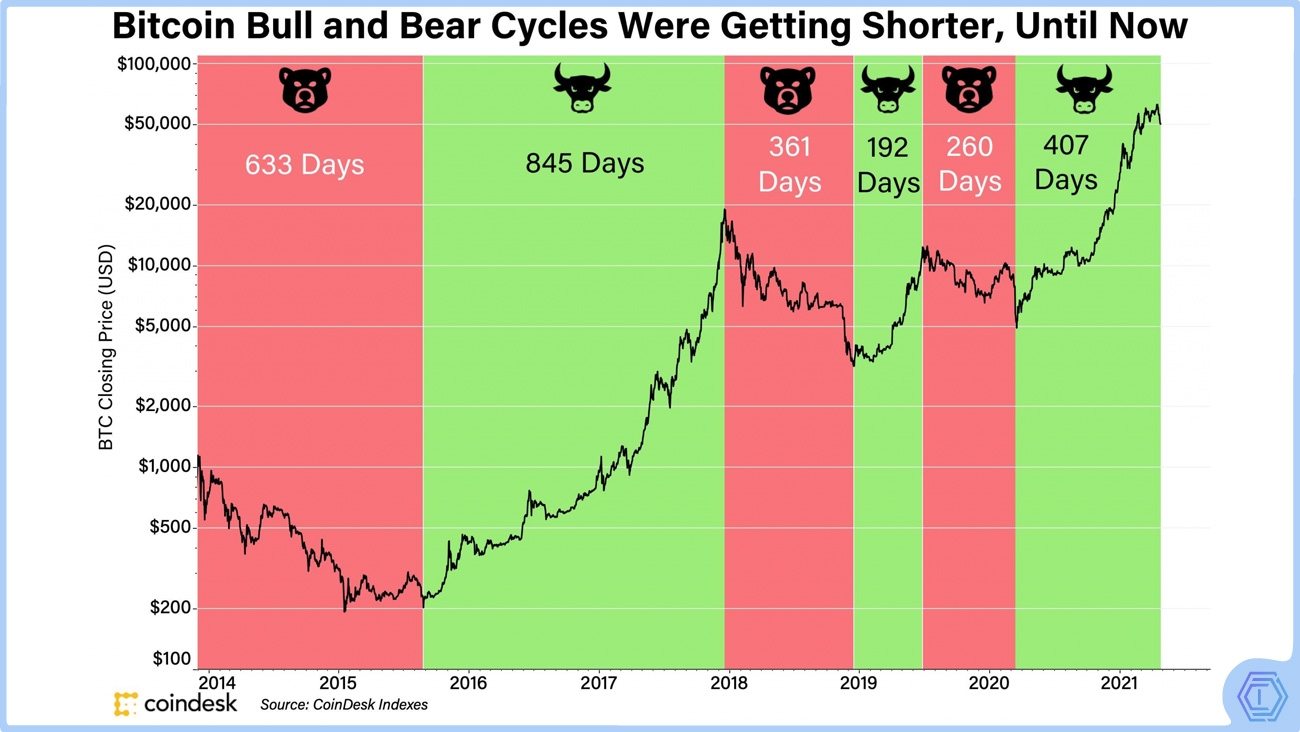 image de présentation Bear Market ou Bull run : les meilleures cryptos pour 2022 ?